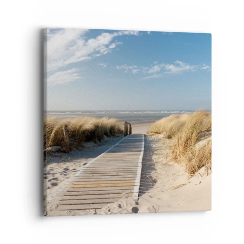 Obraz na płótnie - Za wydmą, w szumie traw - 40x40 cm