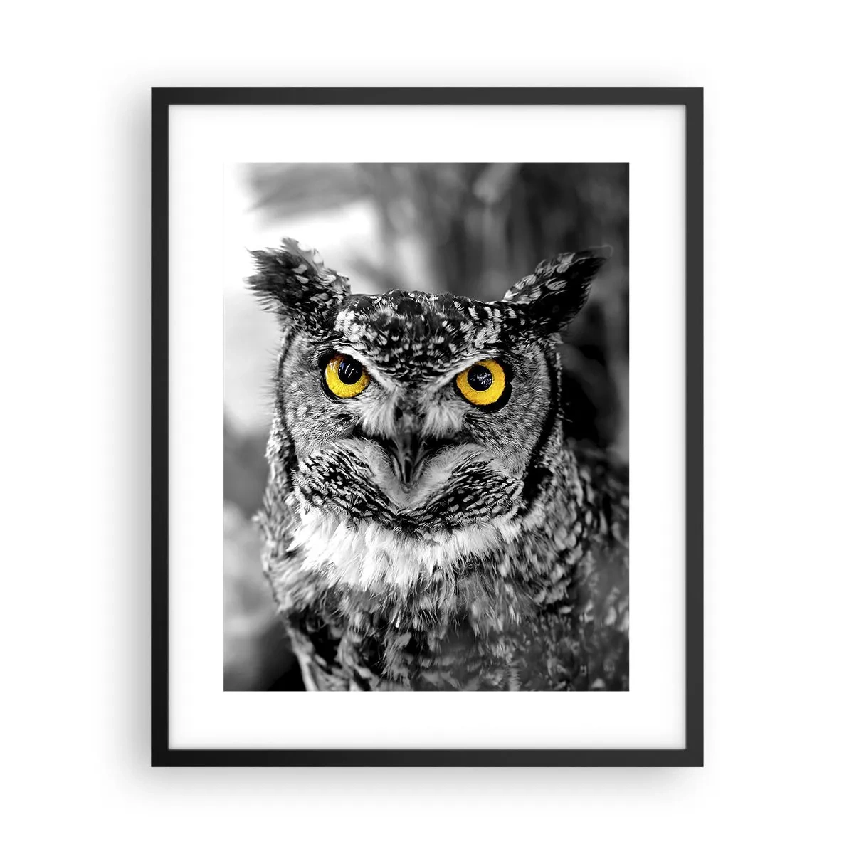 Plakat w czarnej ramie - Nic się nie ukryje - 40x50 cm