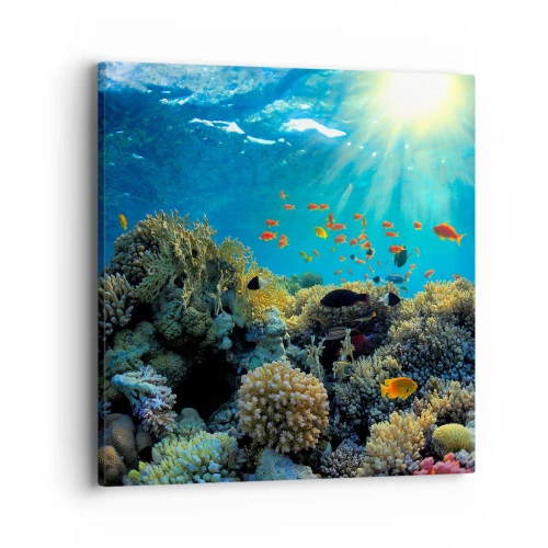 Obraz na płótnie - Podwodne skarby - 40x40 cm