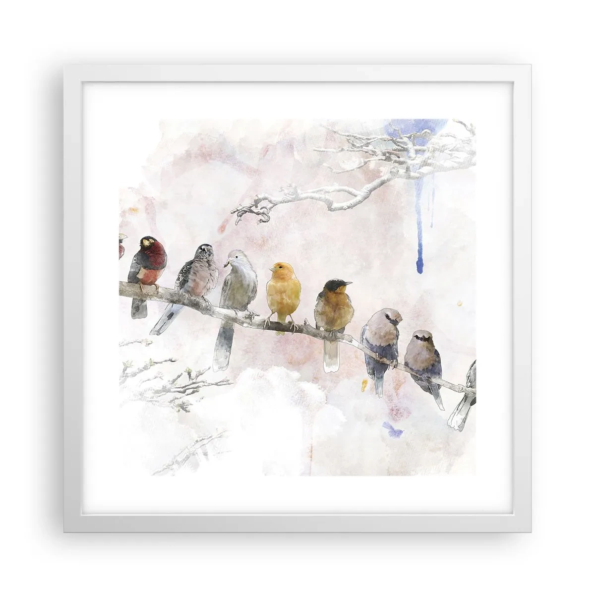 Plakat w białej ramie - Skrzydlate spotkanie - 40x40 cm