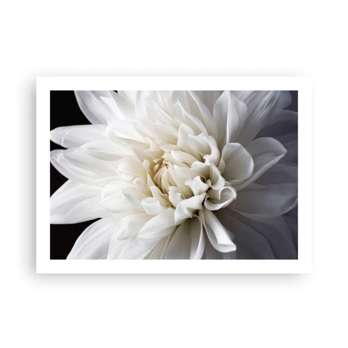 Plakat - Poranek Panny Młodej - 70x50 cm