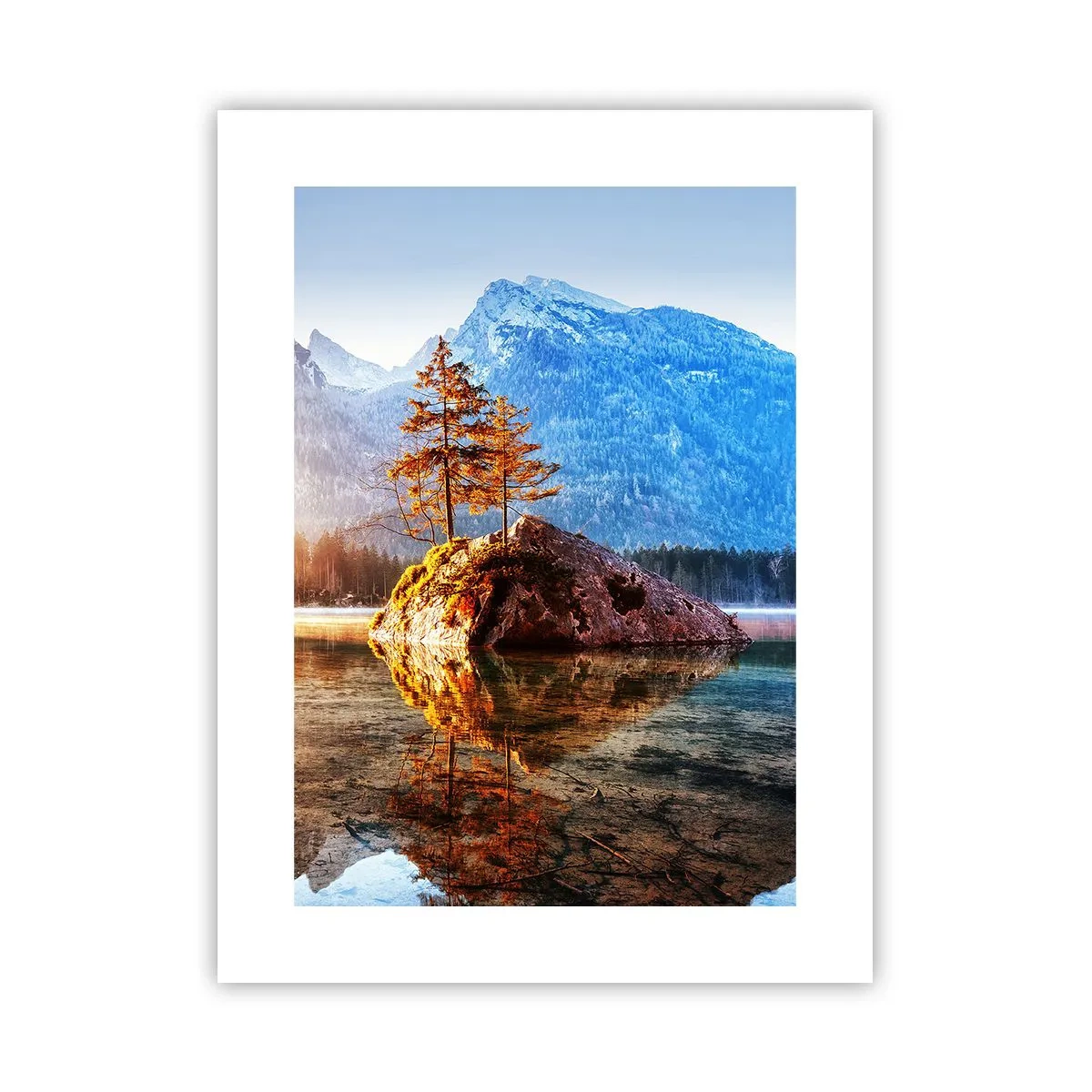 Plakat - Natura w nowym świetle - 30x40 cm