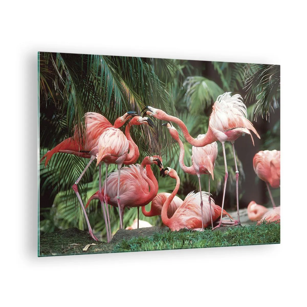 Obraz na szkle - Flamingi wśród tropikalnej roślinności w soczystych kolorach - 70x50cm - Popołudniowe ploteczki - Nowoczesna dekoracja ścienna do salonu i sypialni ARTTOR
