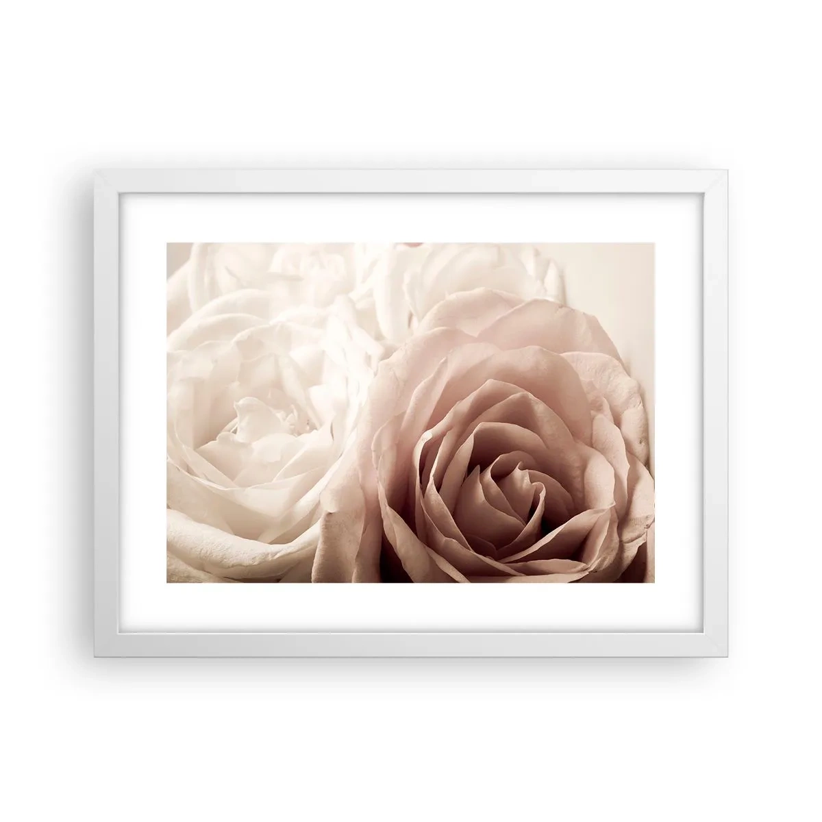 Plakat w białej ramie - W sercu róży - 40x30 cm