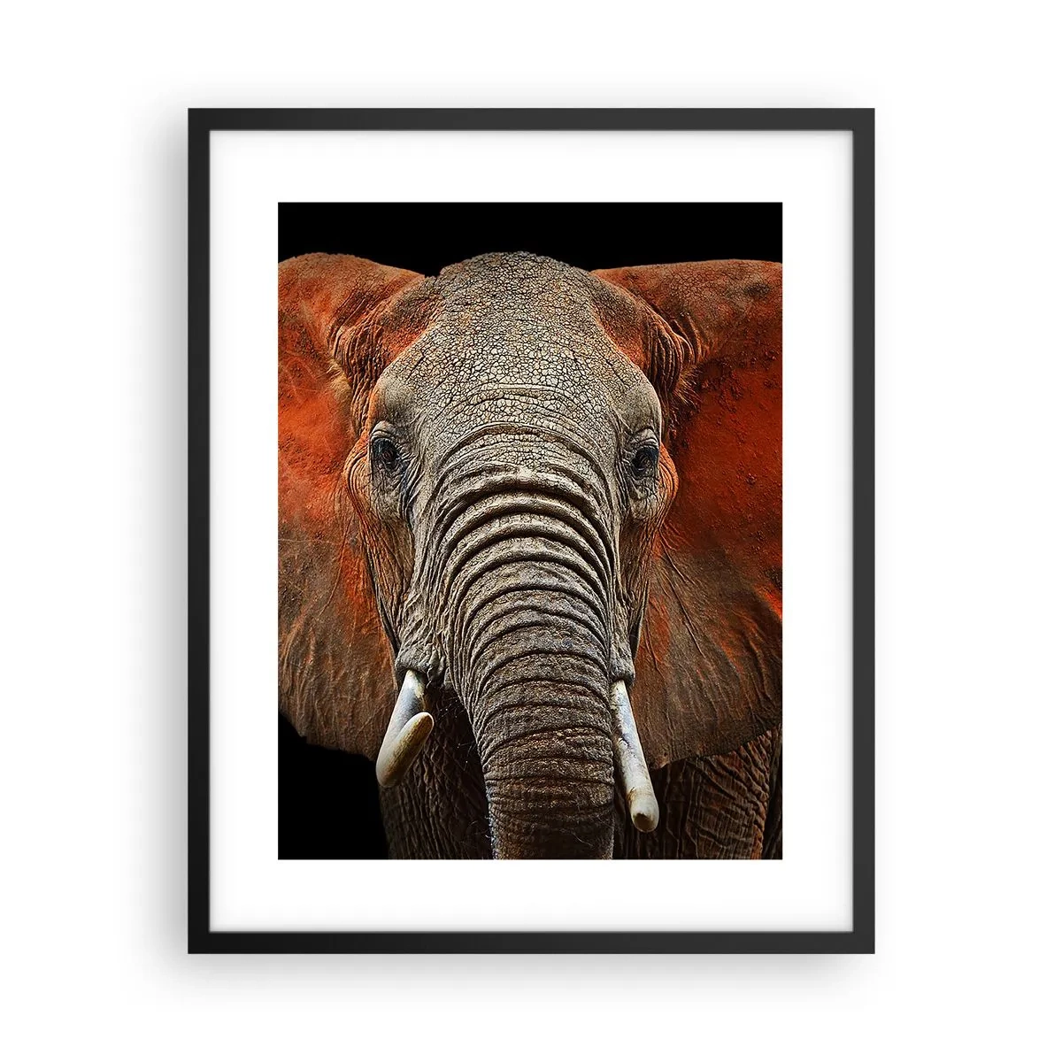 Plakat w czarnej ramie - Jestem dziki, a ty? - 40x50 cm