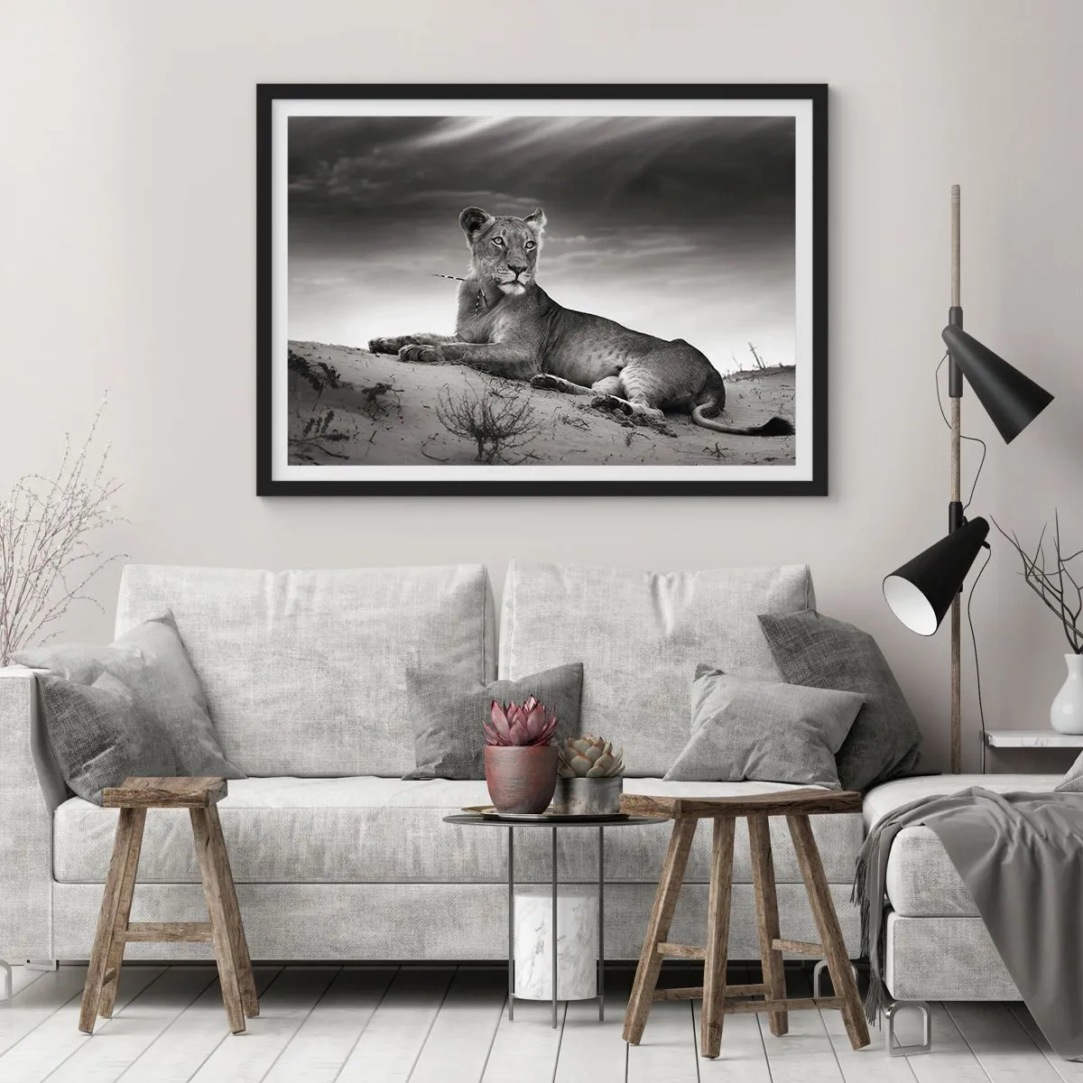 Plakat w czarnej ramie - Odpoczynek królowej pustyni - 91x61 cm