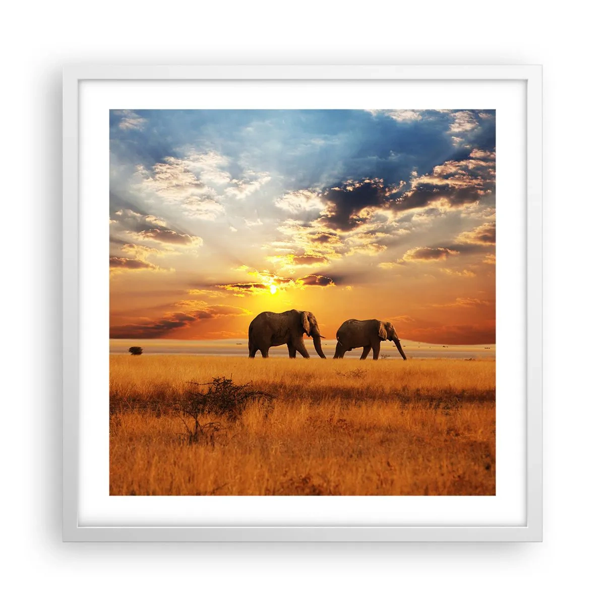 Plakat w białej ramie - Rodzinna przechadzka - 50x50 cm