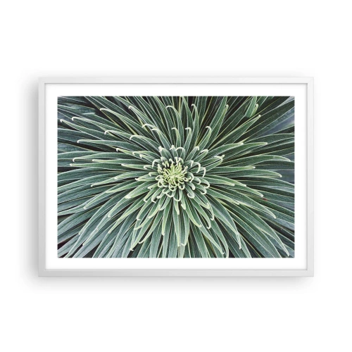 Plakat w białej ramie - Narodziny gwiazdy - 70x50 cm