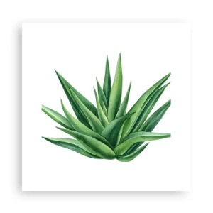 Plakat - Zieleń – siła – życie - 30x30 cm