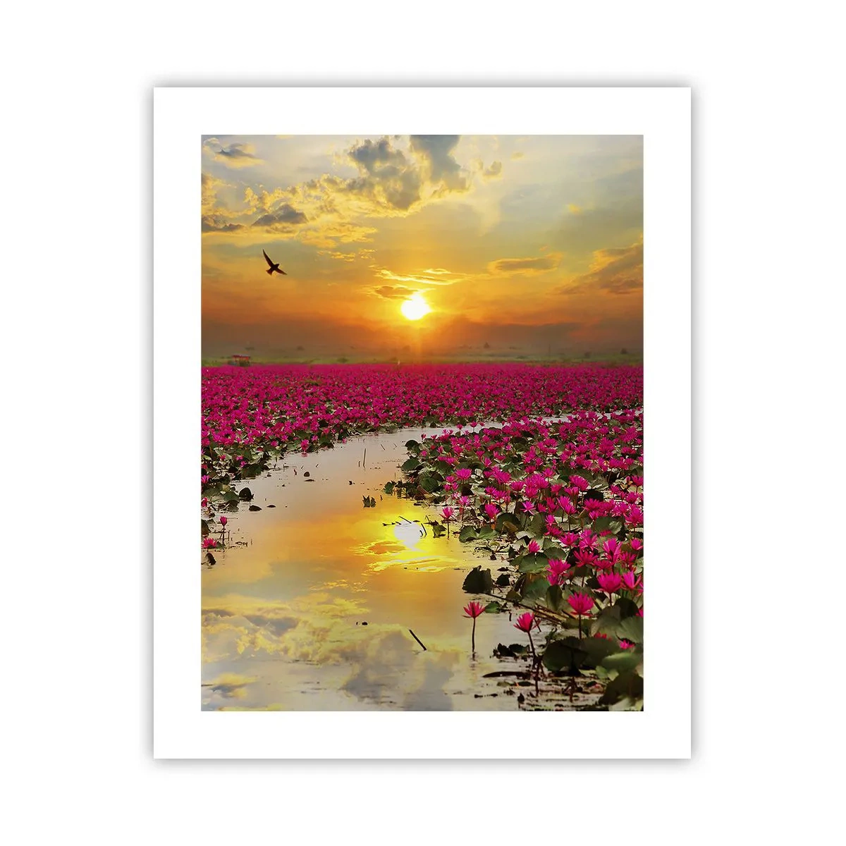 Plakat - Tajemne życie jeziora - 40x50 cm