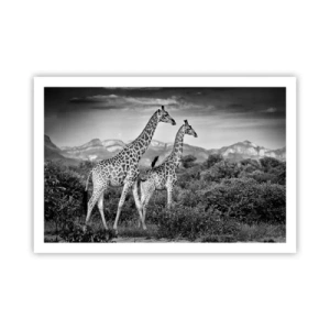 Plakat - Wyższe sfery w Afryce - 91x61 cm