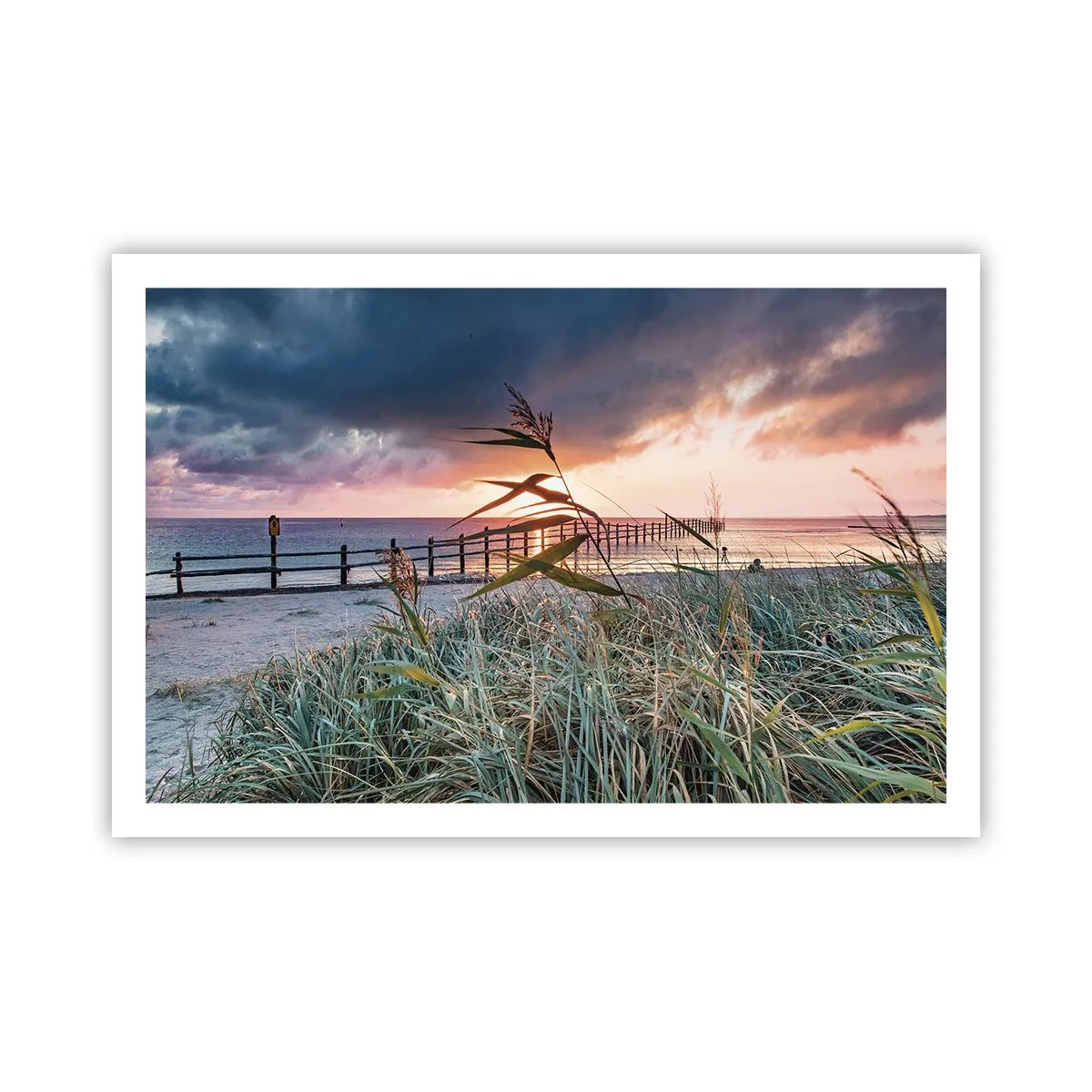 Plakat - Nie przemija z wiatrem - 91x61 cm