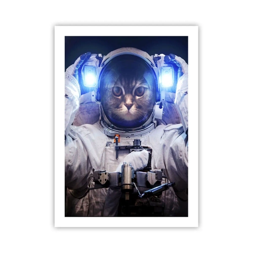 Plakat - Kot astronauta w pełnym skafandrze kosmicznym - 50x70cm - Houston, macie problem - Nowoczesna dekoracja ścienna do salonu, kuchni i sypialni ARTTOR