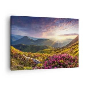 Obraz na płótnie - Górski krajobraz z kwitnącymi rododendronami - 70x50cm - Świeżość górskiego poranka - Nowoczesna dekoracja ścienna do salonu i sypialni ARTTOR