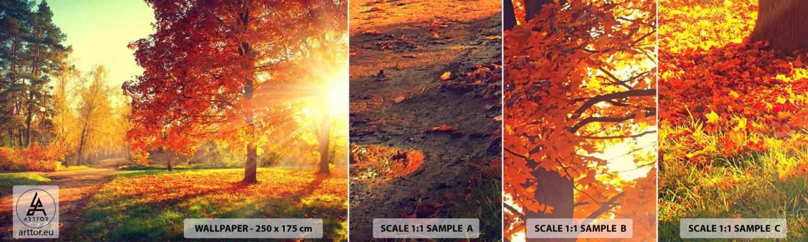 Fototapeta Próbka Samoprzylepna Deluxe Sticker - Rude jest piękne - Krajobraz, Park, Natura - 100x30 cm