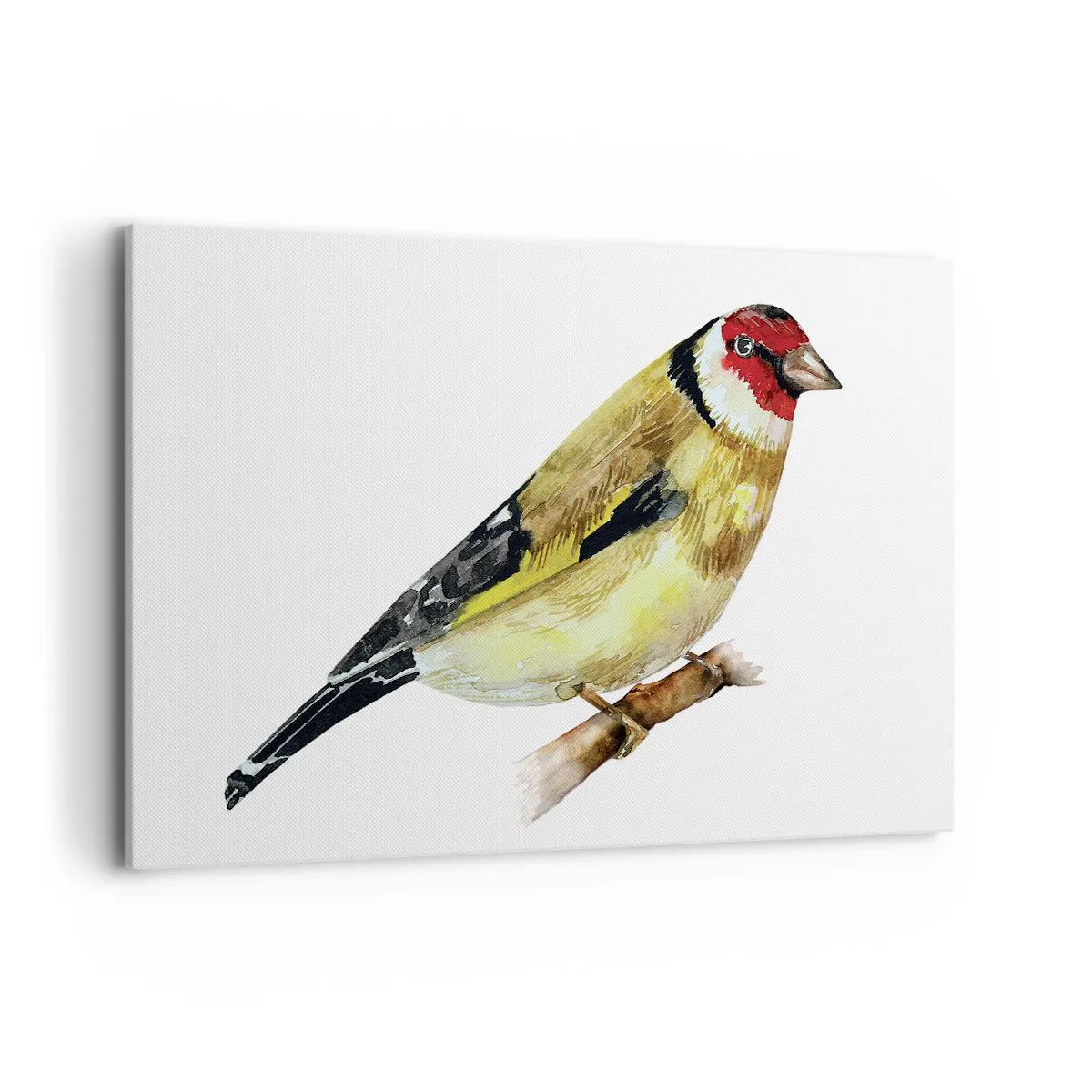 Obraz na płótnie - Ptak z czerwonym łebkiem na gałęzi - 120x80cm - Ptasi portret - Nowoczesna dekoracja ścienna do salonu, kuchni i sypialni ARTTOR