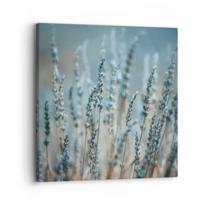 Obraz na płótnie - Pachnący łan - 30x30 cm
