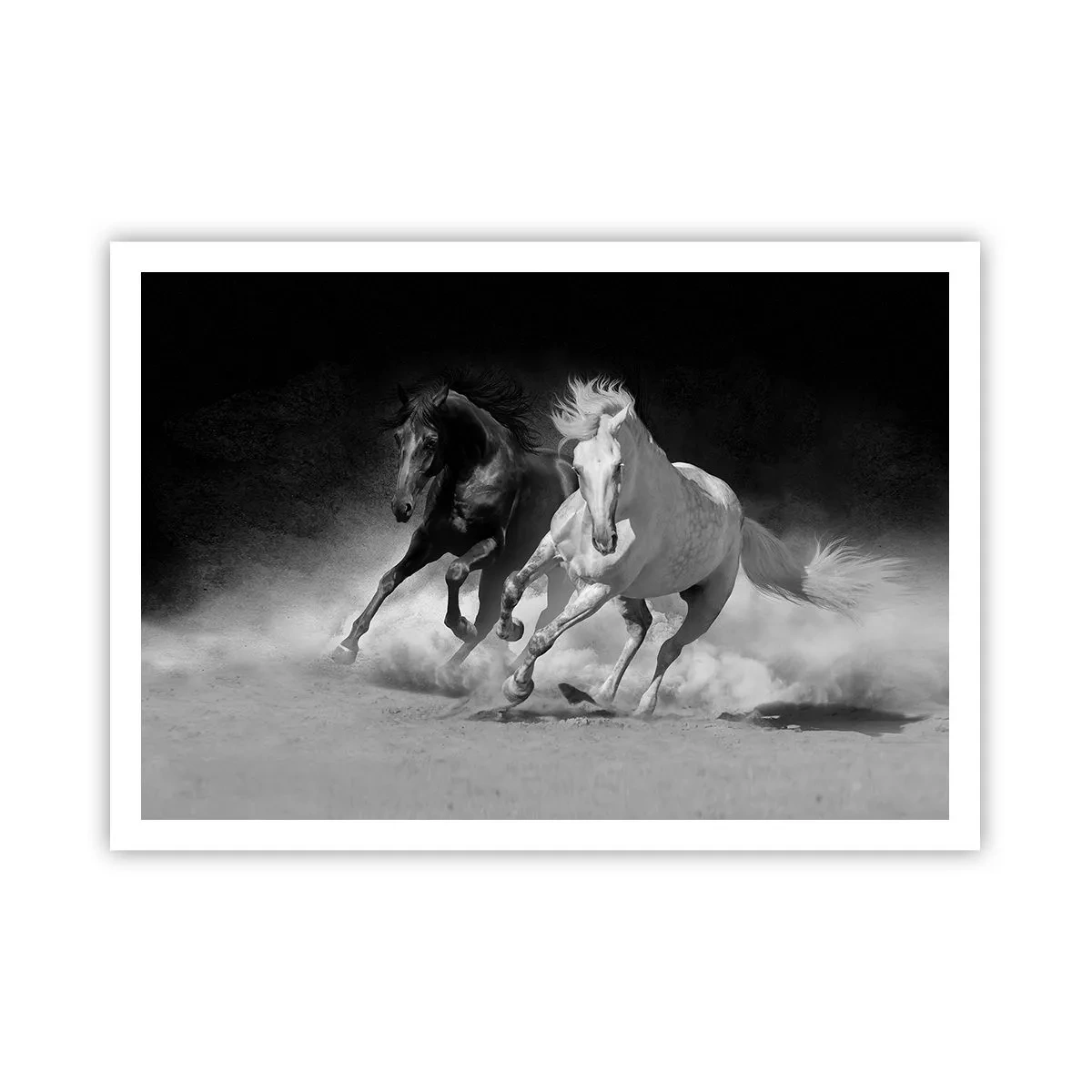 Plakat - Biegnące konie w czerni i bieli - 100x70cm - Galop wolności - Nowoczesna dekoracja ścienna do salonu i sypialni ARTTOR