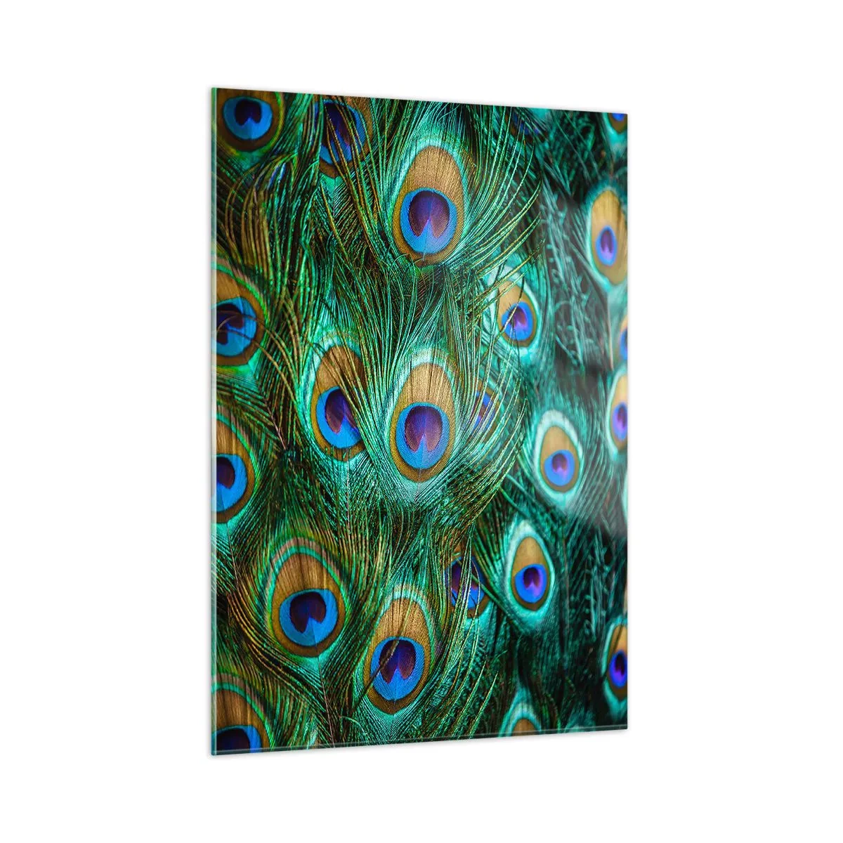 Obraz na szkle - Detal piór pawia z wyraźnymi oczkami - 50x70cm - Pawiookie spojrzenie - Nowoczesna dekoracja ścienna do salonu, kuchni i sypialni ARTTOR