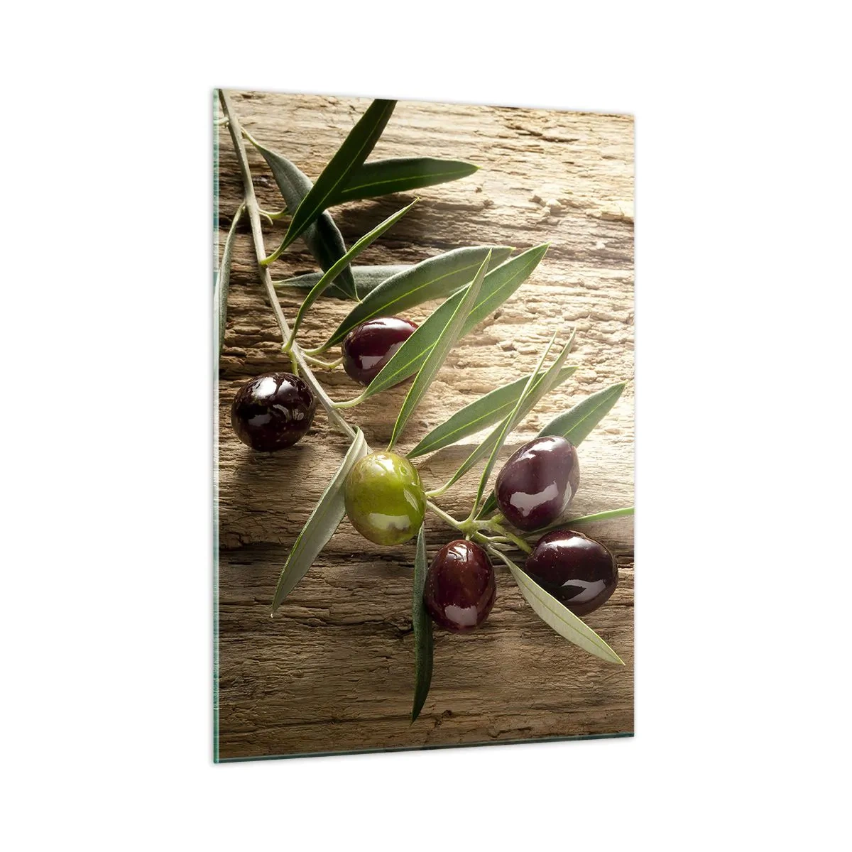 Obraz na szkle - Gałązka oliwna na drewnianym tle - 50x70cm - Prosto od natury - Nowoczesna dekoracja ścienna do salonu, kuchni i sypialni ARTTOR