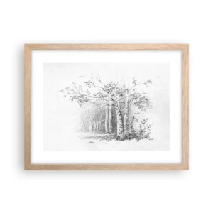Plakat w ramie jasny dąb - Światło brzozowego lasu - 40x30 cm