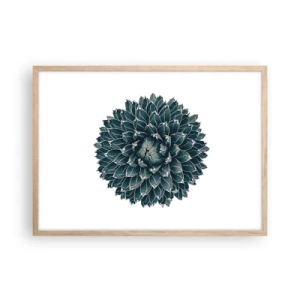 Plakat w ramie jasny dąb - Gwiazda pustyni - 70x50 cm