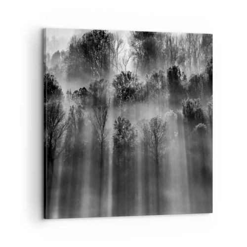 Obraz na płótnie - W strumieniach światła - 60x60 cm