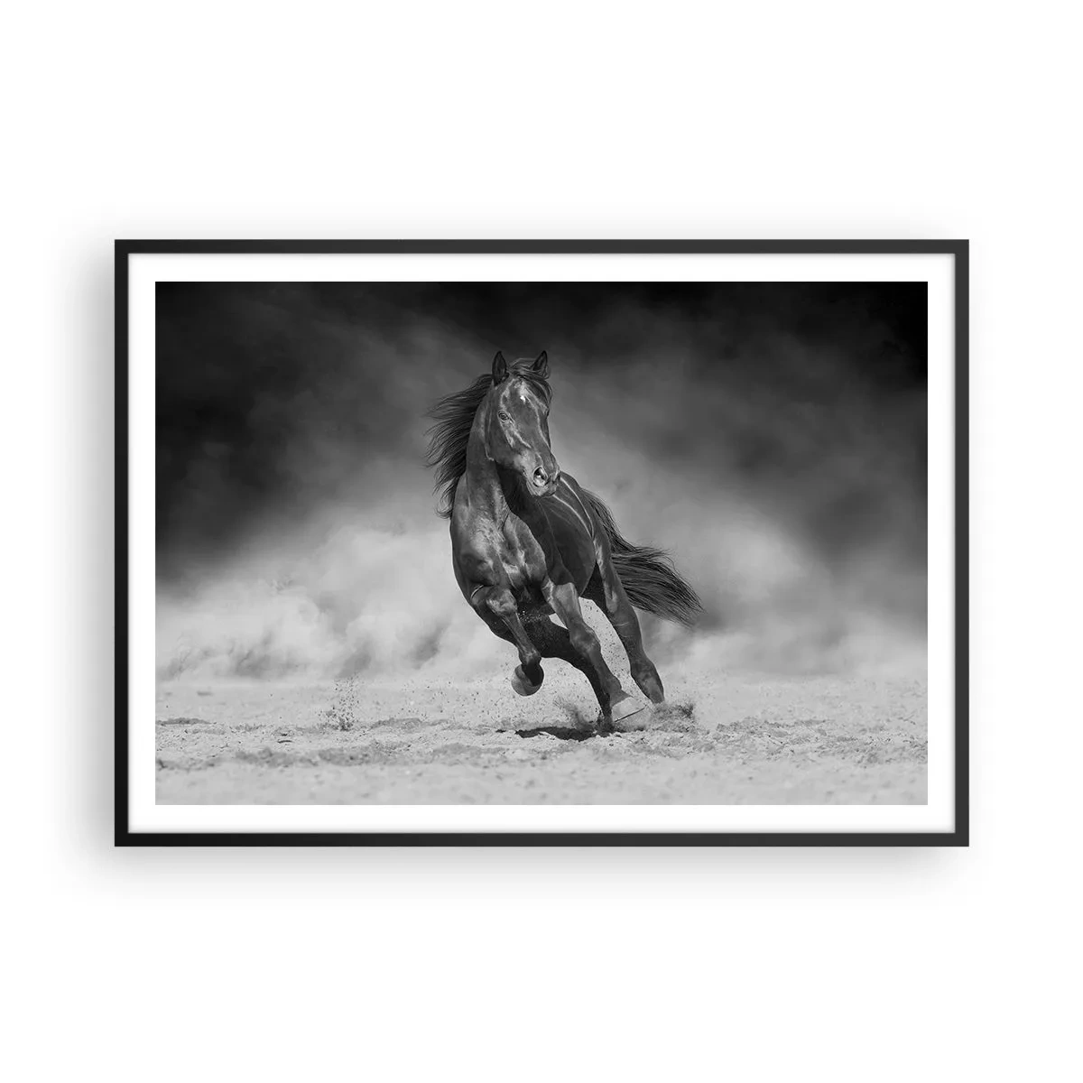Plakat w czarnej ramie - Czarno-biały koń galopujący po piasku - 100x70cm - Godny samego emira - Nowoczesna dekoracja ścienna do salonu i sypialni ARTTOR