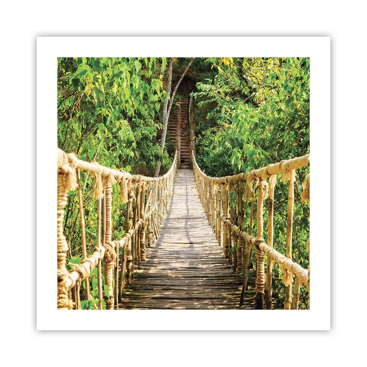 Plakat - Zawieszony w zieleni - 50x50 cm