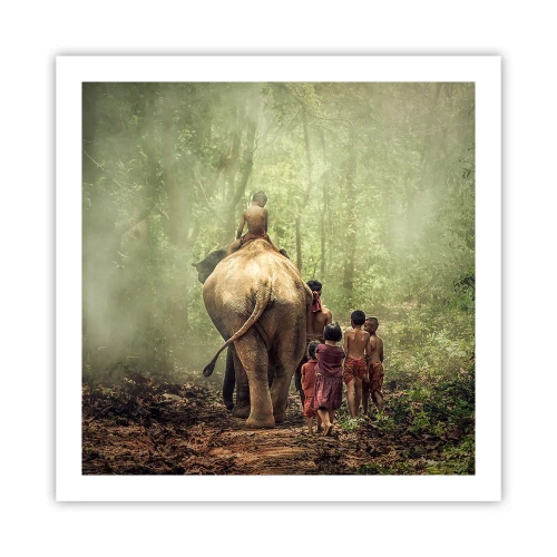 Plakat - Nowa Księga Dżungli - 60x60 cm