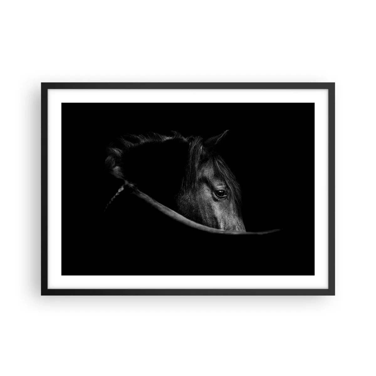 Plakat w czarnej ramie - Czarno-biały portret konia w subtelnej grze światła i cienia na ciemnym tle - 70x50cm - Czarny książę - Nowoczesna dekoracja ścienna do salonu i sypialni ARTTOR