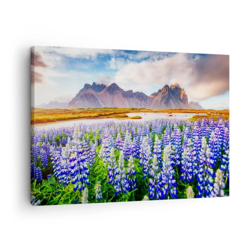 Obraz na płótnie - Kwiaty w górskim krajobrazie z malowniczym niebem - 70x50cm - Siła i surowość obok łagodności - Nowoczesna dekoracja ścienna do salonu i sypialni ARTTOR