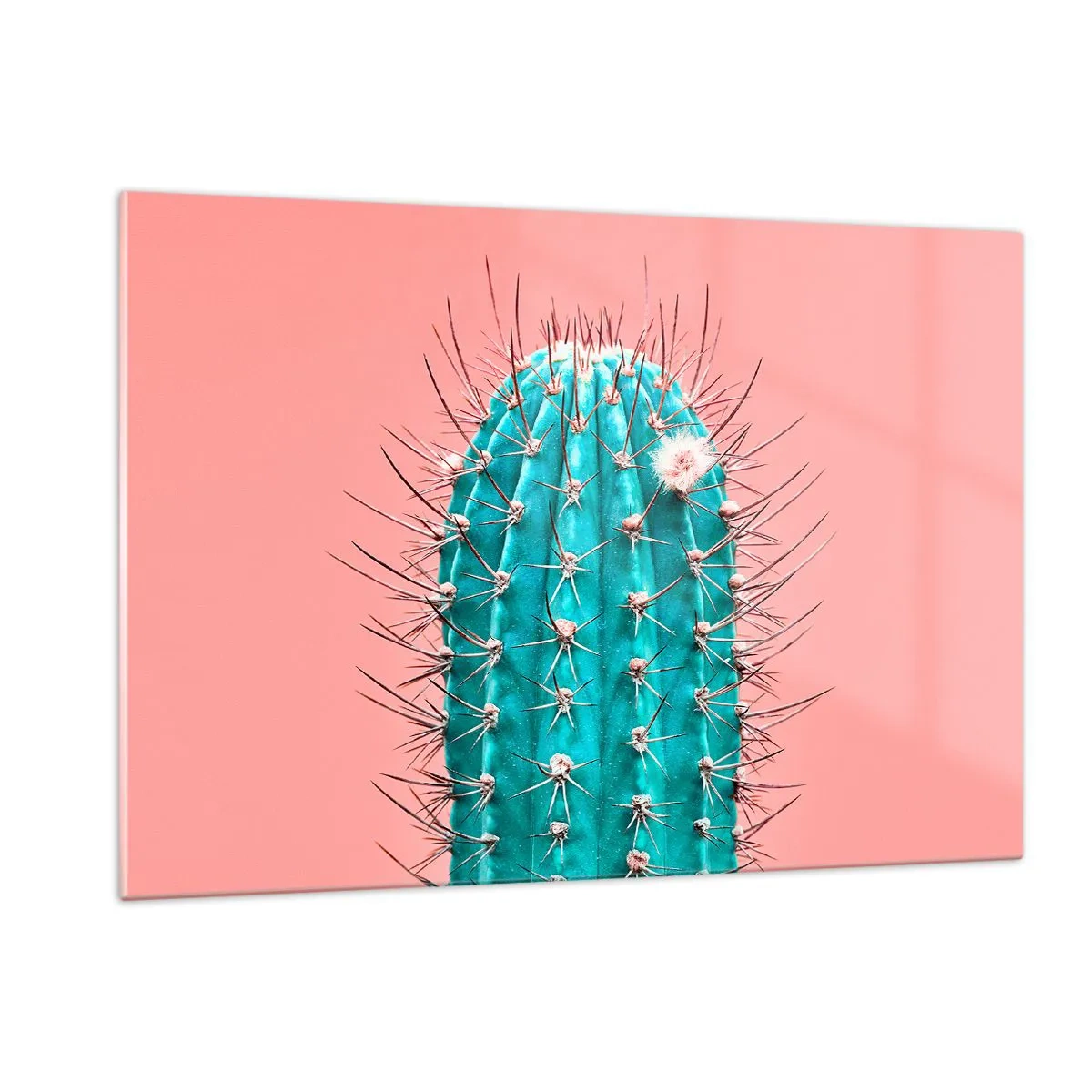 Obraz na szkle - Zielony kaktus z kolcami na różowym tle - 120x80cm - Tylko patrz - Nowoczesna dekoracja ścienna do salonu, kuchni i sypialni ARTTOR