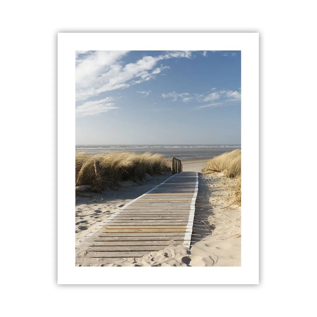 Plakat - Za wydmą, w szumie traw - 40x50 cm