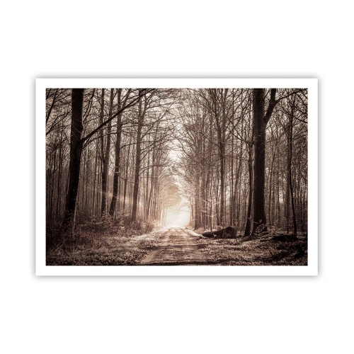 Plakat - Leśna ścieżka wśród drzew w odcieniach sepii - 100x70cm - Leśna katedra - Nowoczesna dekoracja ścienna do salonu i sypialni ARTTOR