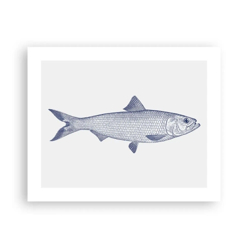 Plakat - Pozdrowienia z północnych mórz - 50x40 cm