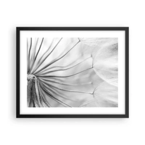 Plakat w czarnej ramie - Dmuchawce, latawce - 50x40 cm