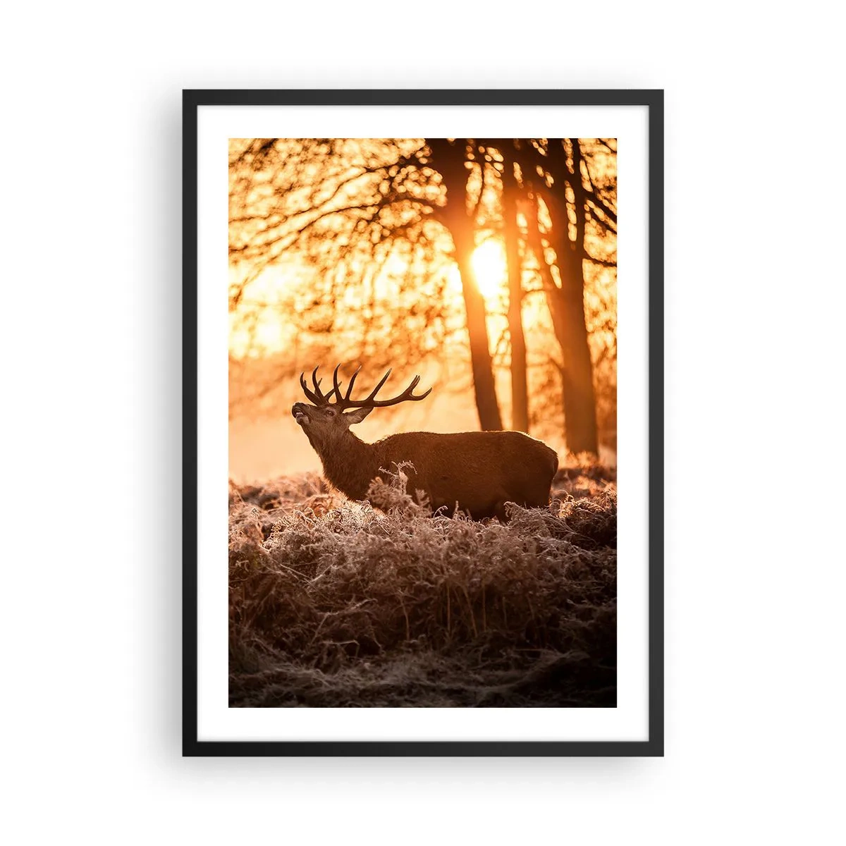 Plakat w czarnej ramie - Jeleń w promieniach wschodzącego słońca na tle lasu - 50x70cm - Marzenie myśliwego - Nowoczesna dekoracja ścienna do salonu i sypialni ARTTOR