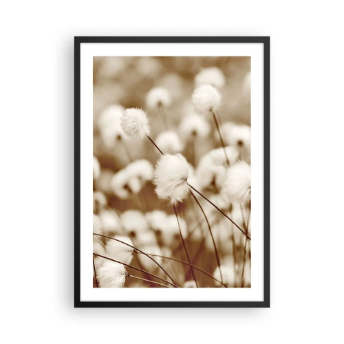 Plakat w czarnej ramie - Puszyste źdźbła traw w delikatnym ujęciu - 50x70cm - Puszysty łan - Nowoczesna dekoracja ścienna do salonu i sypialni ARTTOR