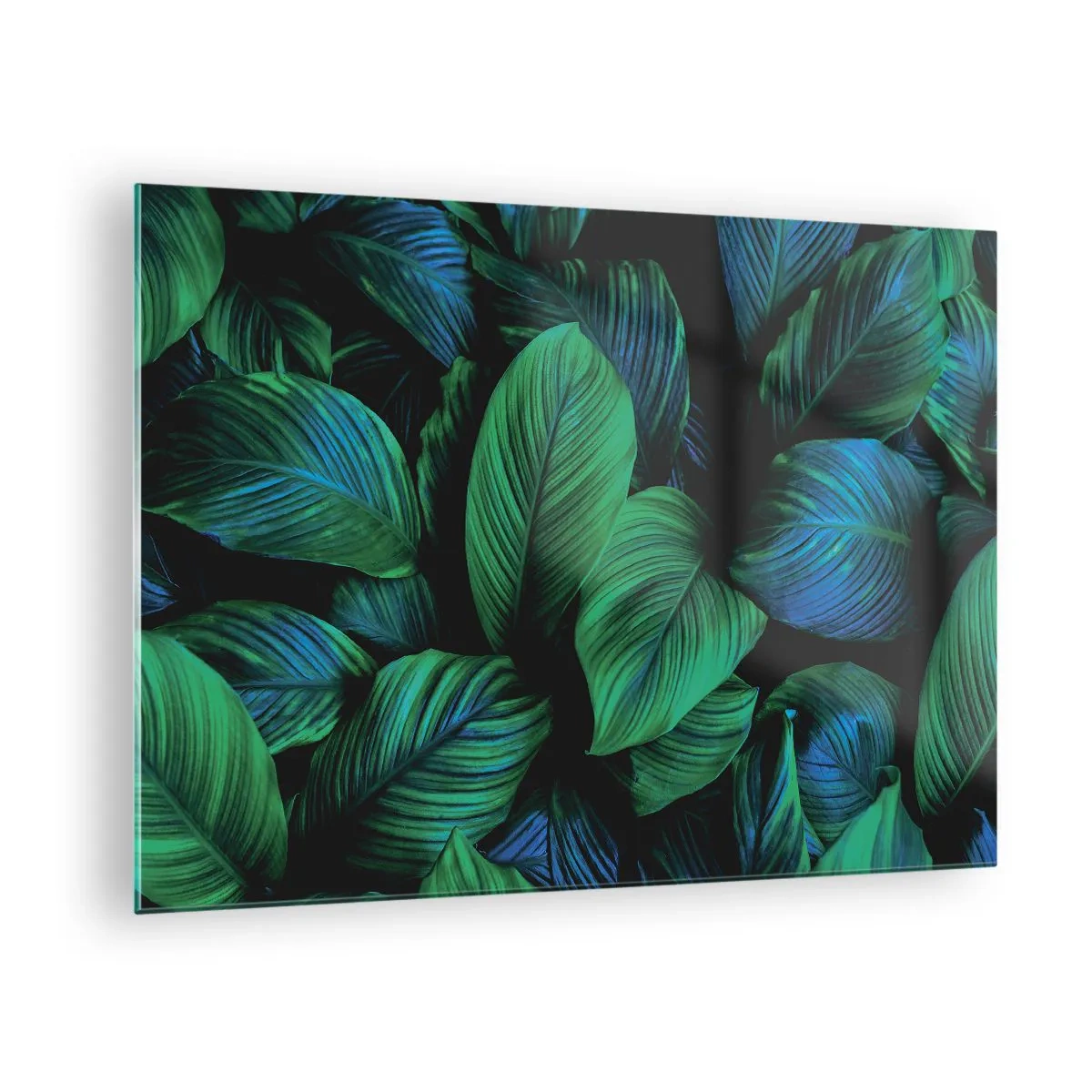 Obraz na szkle - Zbliżenie liści w intensywnych odcieniach zieleni - 70x50cm - W zielonym tłumie - Nowoczesna dekoracja ścienna do salonu i sypialni ARTTOR