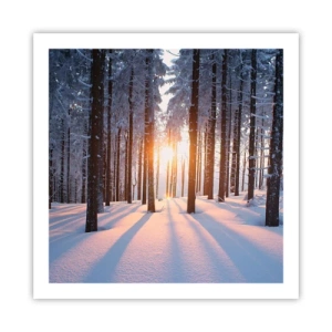 Plakat - Wyraźnie czarno na białym - 60x60 cm