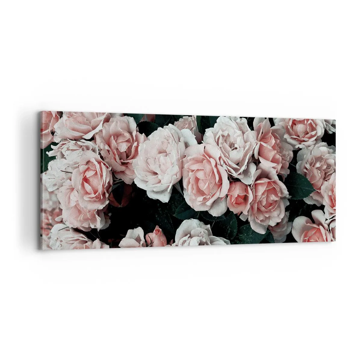 Obraz na płótnie - Różany ansamble - 100x40 cm