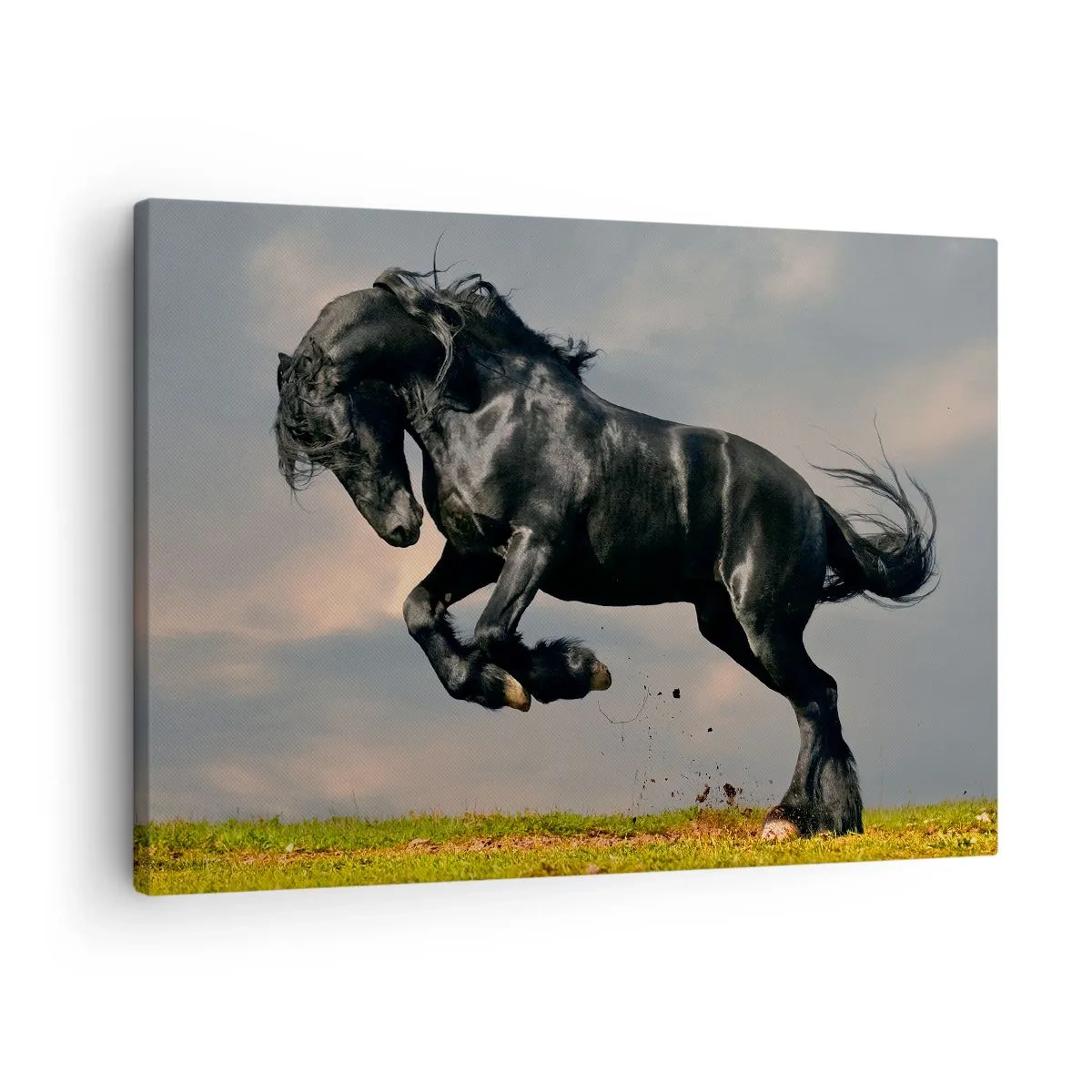 Obraz na płótnie - Czarny koń w dynamicznym skoku na tle nieba - 70x50cm - Piękny i wolny - Nowoczesna dekoracja ścienna do salonu i sypialni ARTTOR