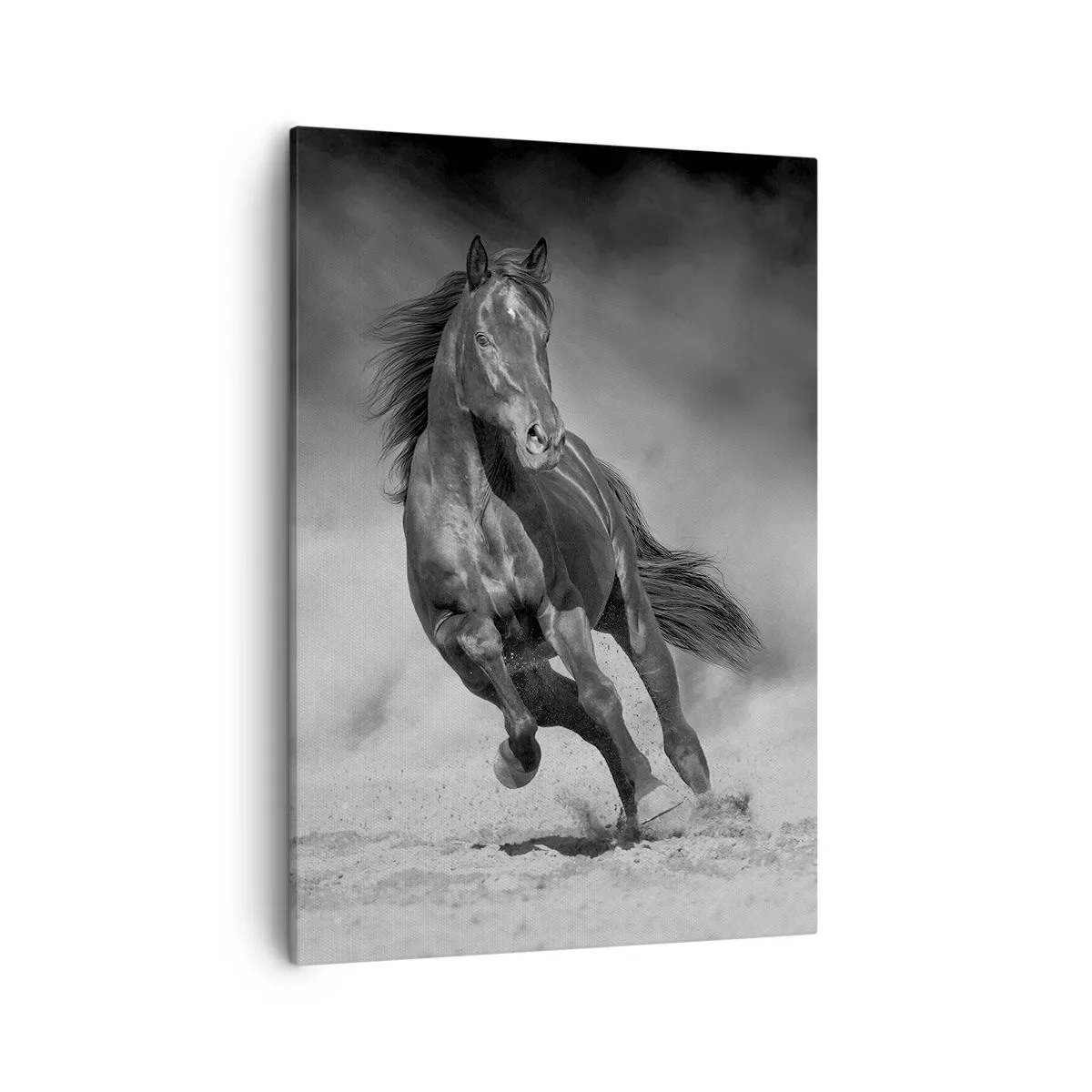 Obraz na płótnie - Galopujący czarny koń na pustyni, fotografia czarno-biała - 50x70cm - Godny samego emira - Nowoczesna dekoracja ścienna do salonu, kuchni i sypialni ARTTOR
