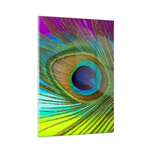 Obraz na szkle - Barwne pióro pawia w zbliżeniu - 50x70cm - Oko w oko - Nowoczesna dekoracja ścienna do salonu, kuchni i sypialni ARTTOR