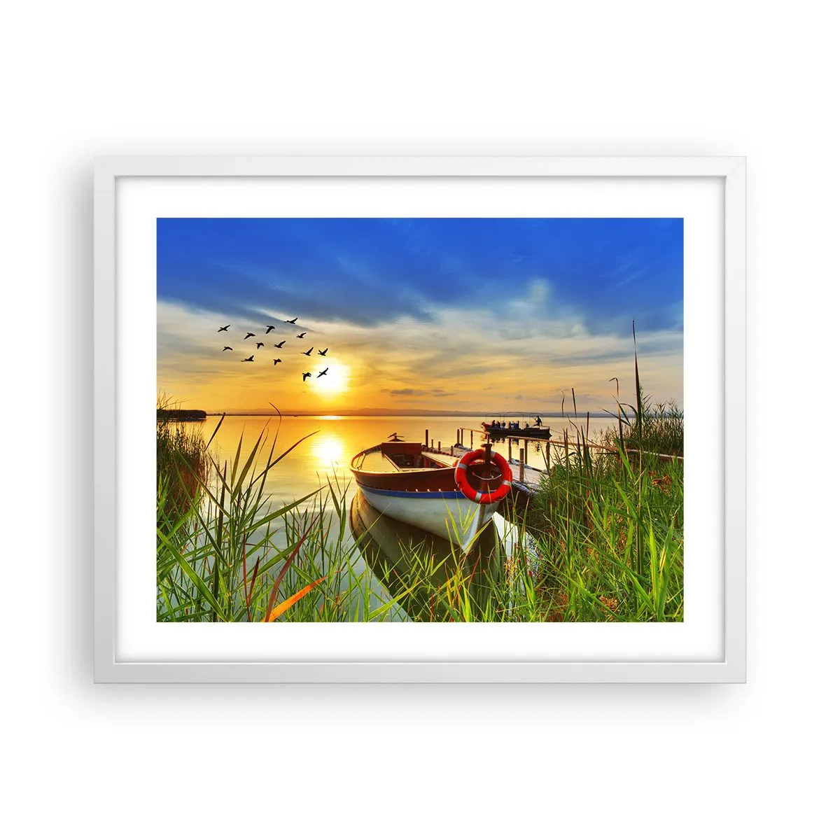 Plakat w białej ramie - Kormorany odlatują już - 50x40 cm