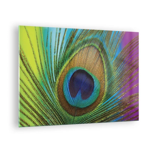Obraz na szkle - Barwne pióro pawia w zbliżeniu - 70x50cm - Oko w oko - Nowoczesna dekoracja ścienna do salonu i sypialni ARTTOR