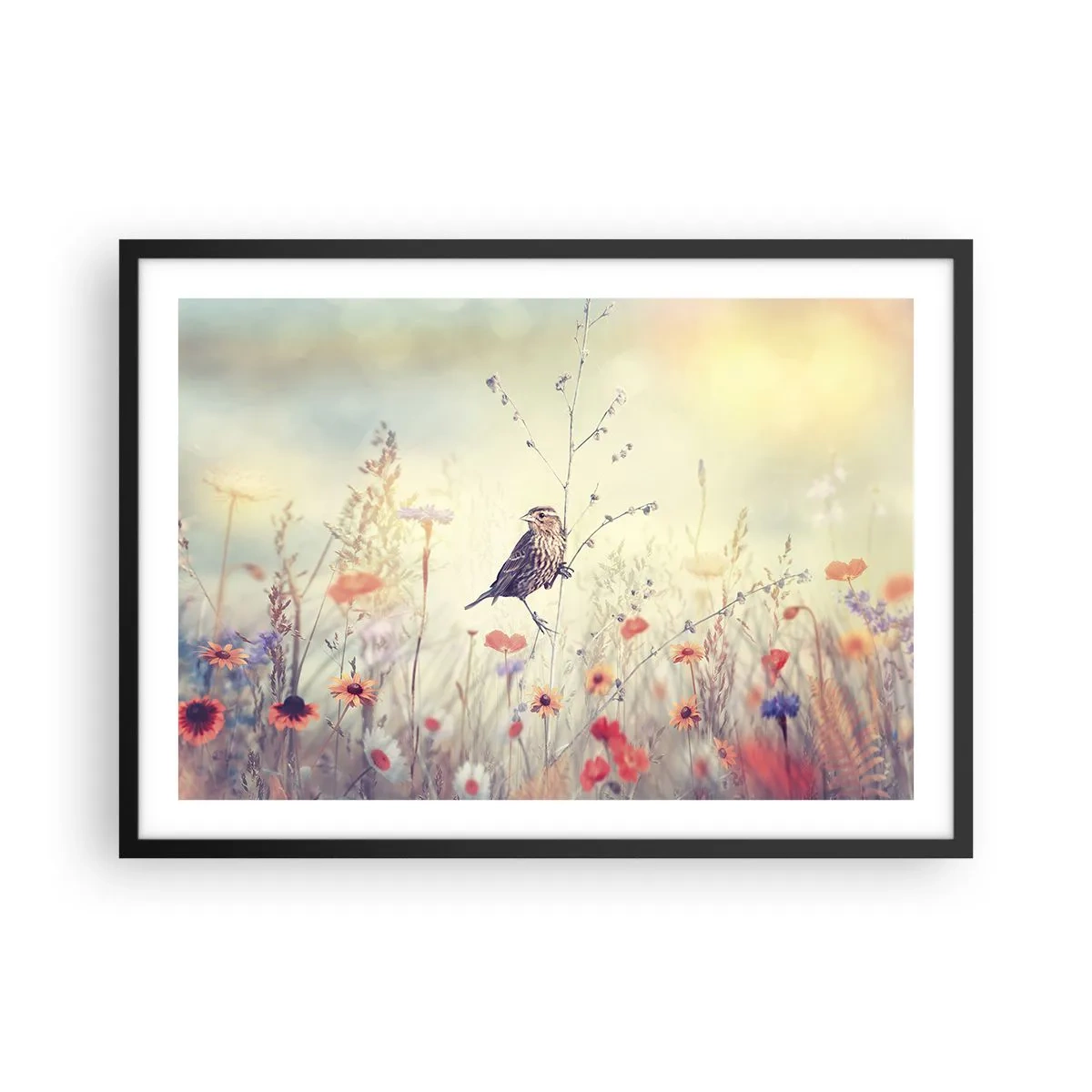 Plakat w czarnej ramie - Ptak na tle kolorowej łąki w pastelowych barwach - 70x50cm - Ptasi portret z łąką w tle - Nowoczesna dekoracja ścienna do salonu i sypialni ARTTOR
