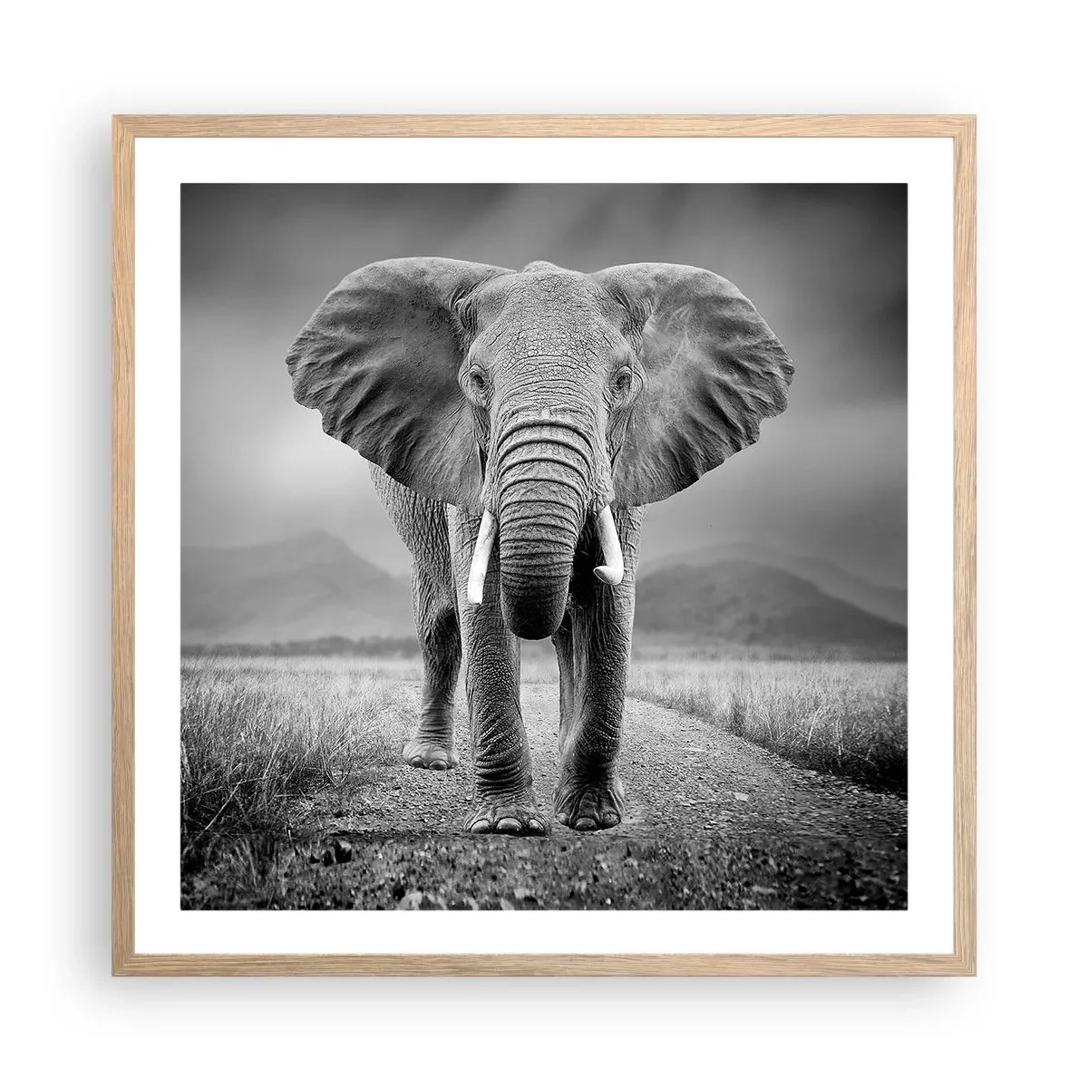 Plakat w ramie jasny dąb - Gospodarz wita - 60x60 cm