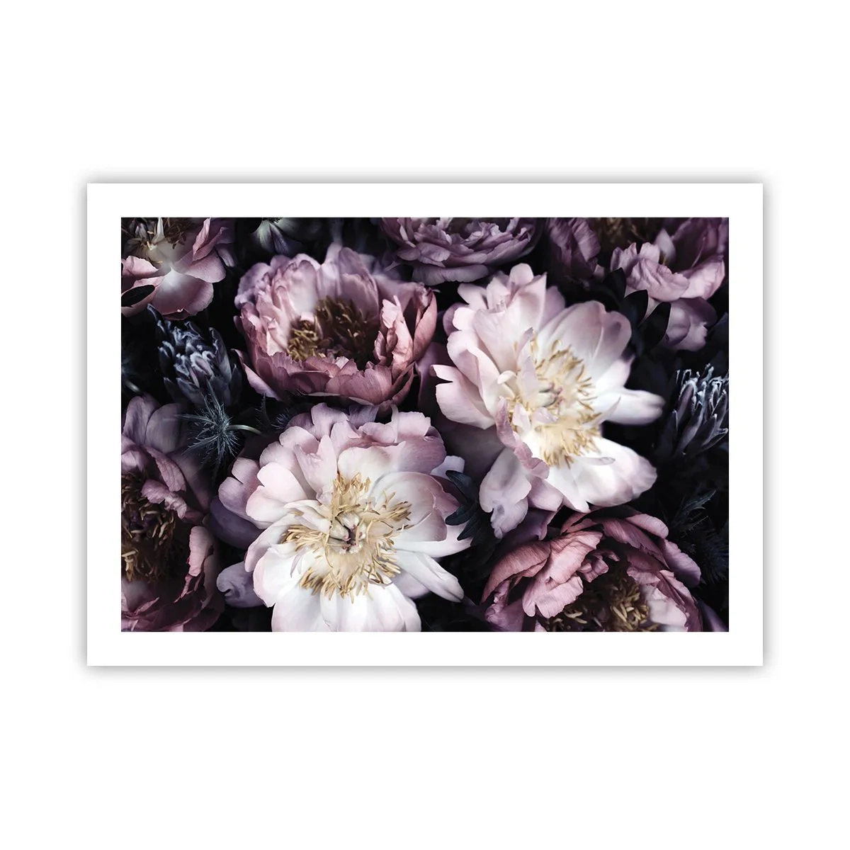 Plakat - Bukiet w dawnym stylu - 70x50 cm